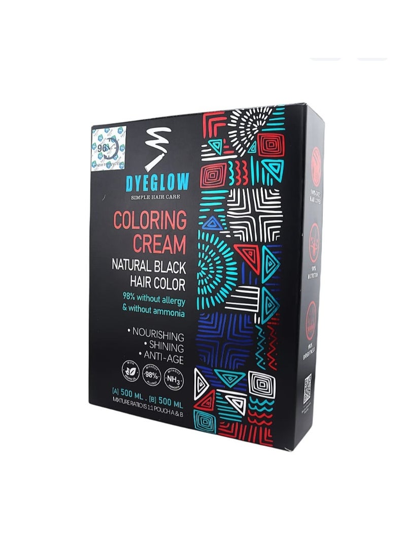 DyeGlow Hair Color Cream – Natural Black | Ammonia-Free & Non-Allergic Hair Dye | Nourishing & Anti-Aging Formula | 1000ml (500ml + 500ml) - Image 1